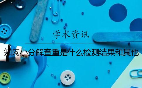 知网小分解查重是什么？检测结果和其他检测系统有区别吗？一