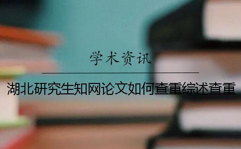 湖北研究生知网论文如何查重？综述查重吗？